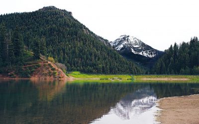 World-class Fishing around Richfield, Utah