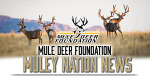 Project Mule Deer – Predators