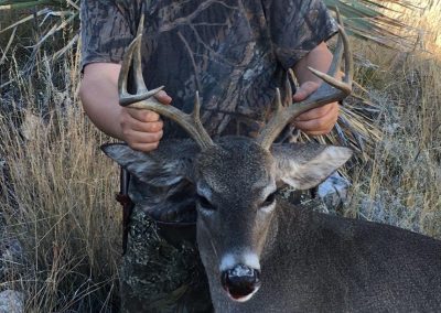 Thurston Family Coues Deer Arizona